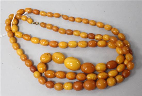 Two single strand graduated oval amber bead necklaces,